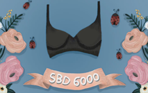 Sabina Perfect bra 6000 